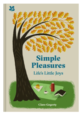 Simple Things book cover